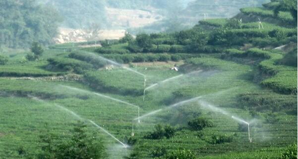 水肥一體機(jī).jpg